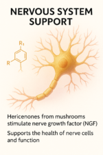 MycoGold™ – Lion’s Mane, Turkey Tail, Chaga + Niacin ( 600 mg ) - Image 16