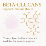 MycoGold™ – Lion’s Mane, Turkey Tail, Chaga + Niacin ( 600 mg ) - Image 13