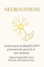 Mind Glow™ — Lion’s Mane + Niacin Brain Support - Image 13