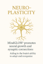 Mind Glow™ — Lion’s Mane + Niacin Brain Support - Image 4