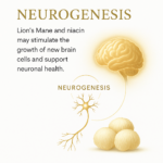 Mind Glow™ — Lion’s Mane + Niacin Brain Support - Image 17