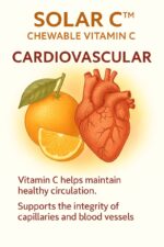 Solar C™ – Pure Ascorbic Acid (Vitamin C) - Image 17