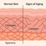 Retinol & Collagen Moisturizer Face Cream - Image 2